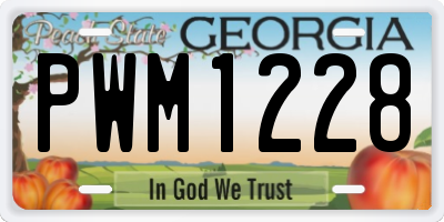 GA license plate PWM1228