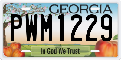 GA license plate PWM1229