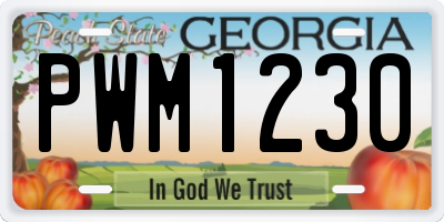 GA license plate PWM1230