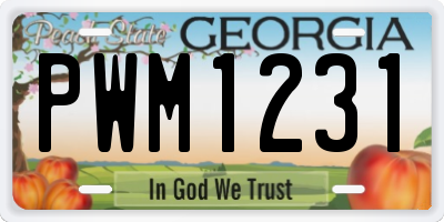 GA license plate PWM1231