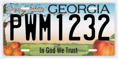 GA license plate PWM1232