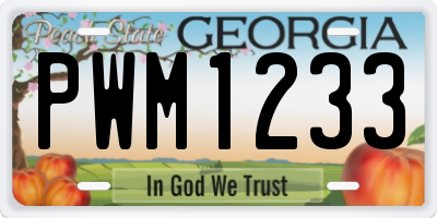 GA license plate PWM1233