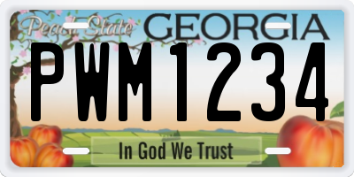 GA license plate PWM1234