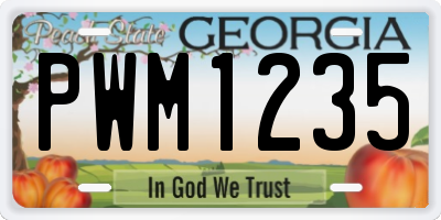 GA license plate PWM1235