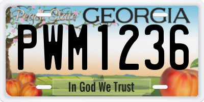 GA license plate PWM1236