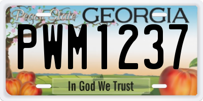 GA license plate PWM1237