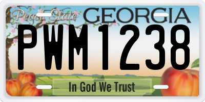 GA license plate PWM1238