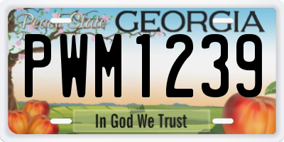 GA license plate PWM1239
