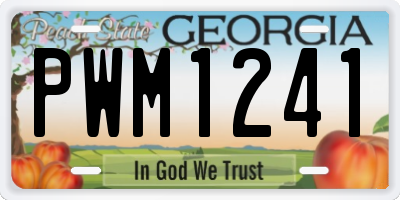 GA license plate PWM1241
