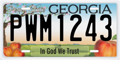 GA license plate PWM1243