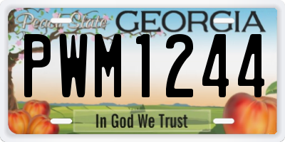 GA license plate PWM1244