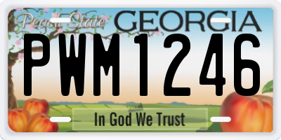 GA license plate PWM1246