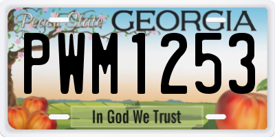 GA license plate PWM1253