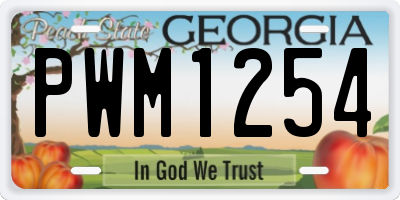GA license plate PWM1254