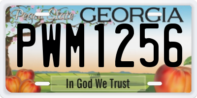 GA license plate PWM1256