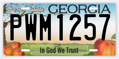 GA license plate PWM1257