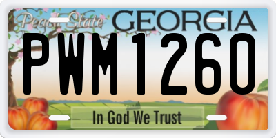 GA license plate PWM1260