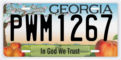GA license plate PWM1267