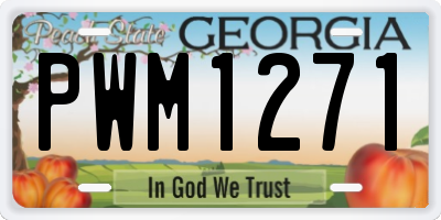 GA license plate PWM1271