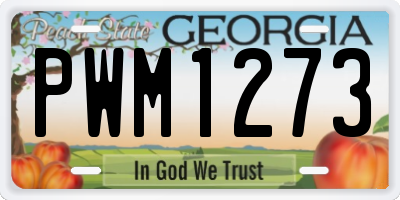 GA license plate PWM1273