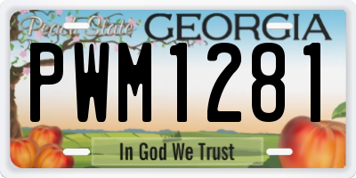 GA license plate PWM1281