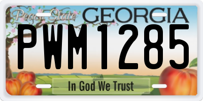 GA license plate PWM1285
