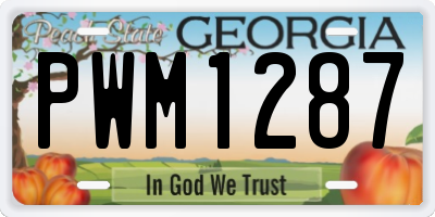 GA license plate PWM1287