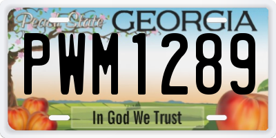 GA license plate PWM1289