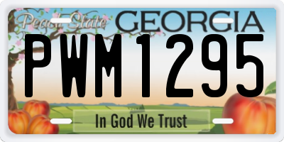 GA license plate PWM1295
