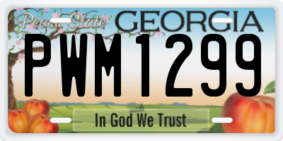 GA license plate PWM1299