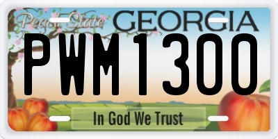 GA license plate PWM1300