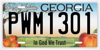 GA license plate PWM1301