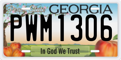 GA license plate PWM1306