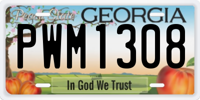 GA license plate PWM1308