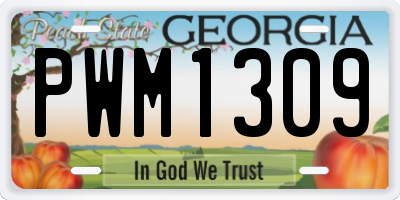 GA license plate PWM1309