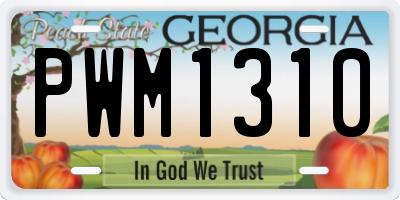 GA license plate PWM1310