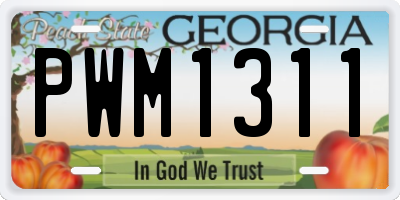 GA license plate PWM1311