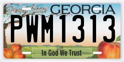 GA license plate PWM1313