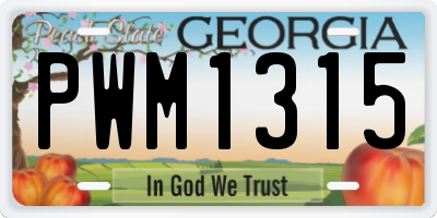 GA license plate PWM1315