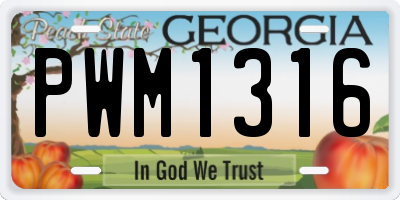GA license plate PWM1316