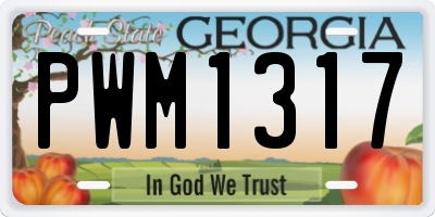 GA license plate PWM1317