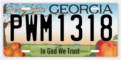 GA license plate PWM1318