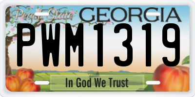 GA license plate PWM1319