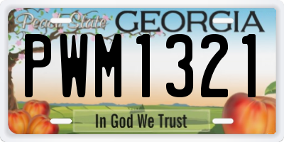GA license plate PWM1321