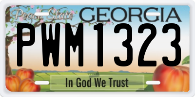 GA license plate PWM1323