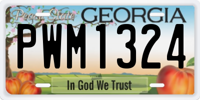 GA license plate PWM1324