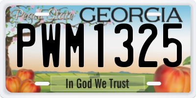 GA license plate PWM1325