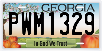 GA license plate PWM1329
