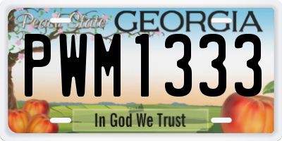GA license plate PWM1333