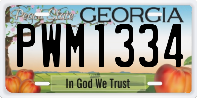 GA license plate PWM1334